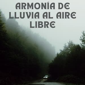 Armonía De Lluvia Al Aire Libre - Lluvia - Lluvia de primavera