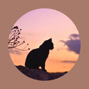 Music for The Cutest Kitten - Calming Music for Cats