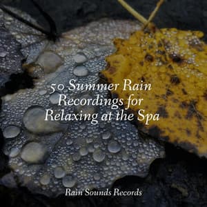 50 Summer Rain Recordings for Relaxing at the Spa - PowerThoughts Meditation Club