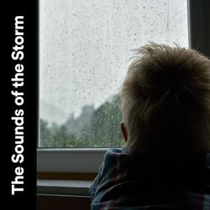 The Sounds of the Storm - Sounds Of Nature : Thunderstorm, Rain