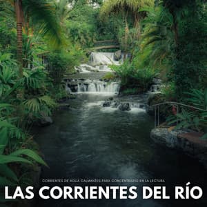 Las Corrientes Del Río: Corrientes De Agua Calmantes Para Concentrarse En La Lectura - Agua Mantra