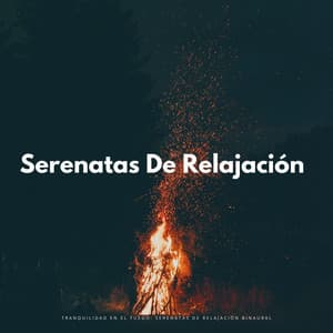 Tranquilidad En El Fuego: Serenatas De Relajación Binaural - Binauralidades