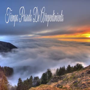 Tiempo Pasado De Arrepentimiento - Masaje Relajante Masters