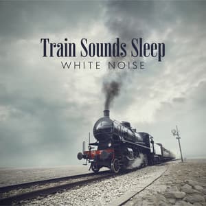 Train Sounds Sleep: White Noise Sound Collection, On Track, Moving Train in the Rain - White Noise Universe
