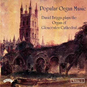 Popular Organ Music, Vol. 2 - David Briggs