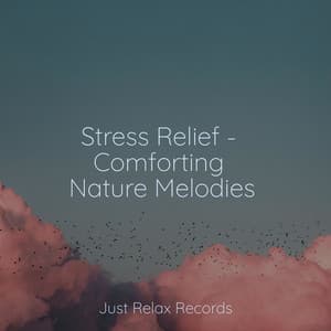 Stress Relief - Comforting Nature Melodies - Música relaxante