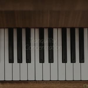 Tranquility Concentration - Ivory Mood