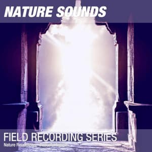 Nature Recordings - Peaceful temple - Nature Sounds