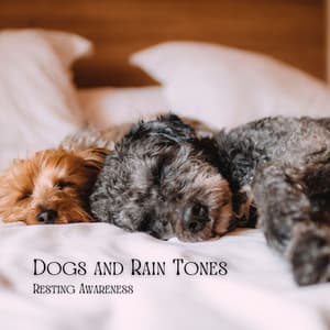 Dogs and Rain Tones: Resting Awareness - Underwater Sound