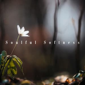 Soulful Softness: Awakening in Soft Light - Relaxing Zen Music Therapy