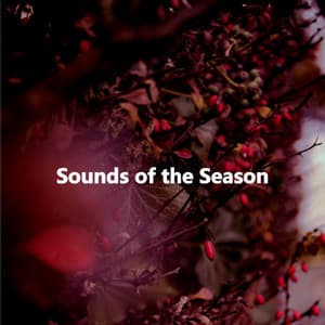 Sounds of the Season - Classic Jazz Chill