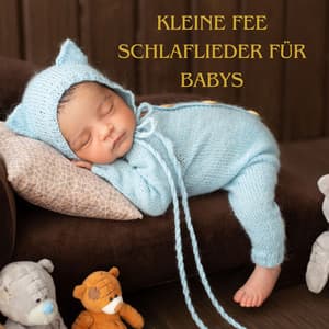 Kleine Fee: Schlaflieder für Babys, Gutenachtgeschichten für einen ruhigen Schlaf - Baby Schlafmusik Akademie