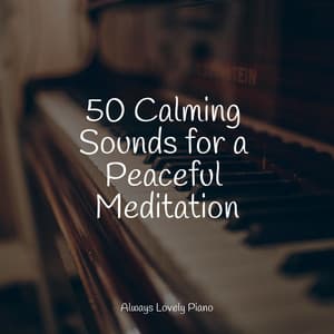 Ambient Songs | Sleep and Relaxation - Calming Piano