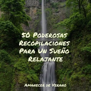 50 Poderosas Recopilaciones Para Un Sueño Relajante - Sonidos De Truenos y Lluvia