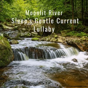Moonlit River: Sleep's Gentle Current Lullaby - Sounds River