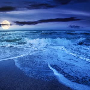 Nature Sounds by Night: Sleep & Relaxation - Sounds of Nature Noise