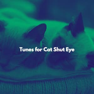 Tunes for Cat Shut Eye - Evening Jazz Chill