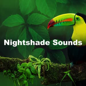 Nightshade Sounds - Nature Sounds and Music