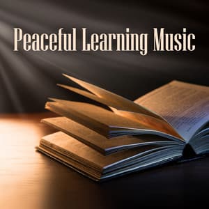 Peaceful Learning Music - Brain Study Music Guys
