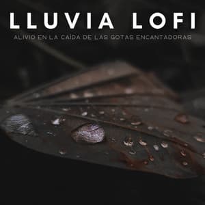Lluvia Lofi: Alivio En La Caída De Las Gotas Encantadoras - Total Relax Lo Fi Música