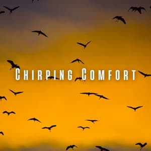Chirping Comfort: Calming Birds and Chill Sounds for Soothing Cats - Noise Radio 1