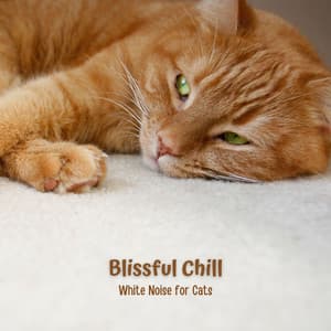 Blissful Chill: White Noise for Cats - Sleeping White Noise Loopable