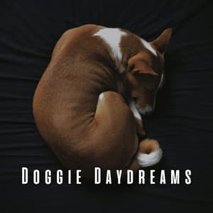 Doggie Daydreams: Coffee Shop Jazz Sessions - Ambient Jazz Lounge