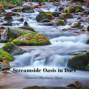 Streamside Oasis in Duet: Nature's Meditative Voices - Akvavit