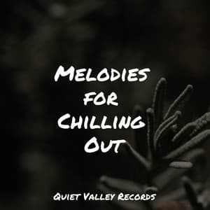 Melodies for Chilling Out - Echoes Of Nature