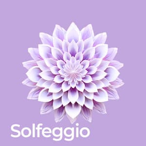 Solfeggio Healing Frequencies - Frame Drum of Spirituality
