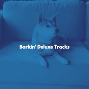 Barkin' Deluxe Tracks - Jazz Rilassante Primo