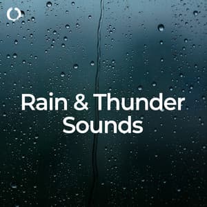 Rain & Thunder Sounds: Best for Sleep - Thunderstorm Sounds
