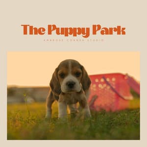 The Puppy Park - Calm Dog Music