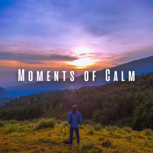Moments of Calm: Chill Music for Relaxation - Art of Calming