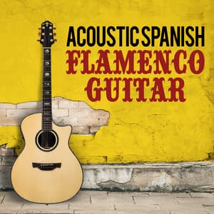 Acoustic Spanish Flamenco Guitar - The Acoustic Guitar Troubadours