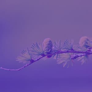 Piano and Bells - Music for REM Sleep - Musica Reiki