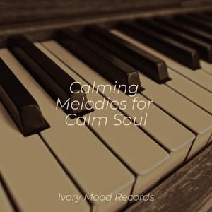 Calming Melodies for Calm Soul - Ivory Mood
