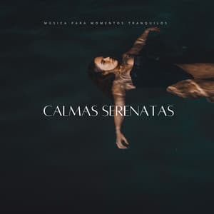 Calmas Serenatas: Música Para Momentos Tranquilos - Habitos Saludables