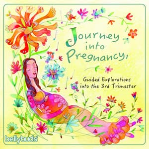 Journey into Pregnancy, Guided Explorations into the 3rd Trimester - Bellybuds