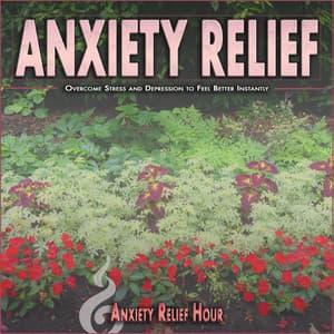 Anxiety Relief: Overcome Stress and Depression to Feel Better Instantly - Anxiety Relief Hour
