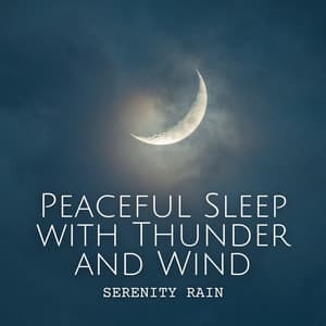 Serenity Rain: Peaceful Sleep with Thunder and Wind - The Rain Factory
