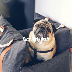 Furry Funky Beats - Calming Jazz For Dogs
