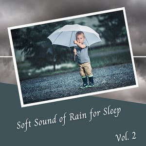 Soft Sound of Rain for Sleep Vol. 2 - Meditation Rain Sounds