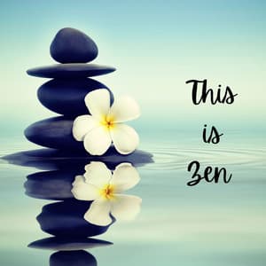 This Is Zen - Beach Top Sounders