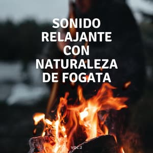 Sonido Relajante Con Naturaleza De Fogata Vol. 2 - Fuego Ambiental