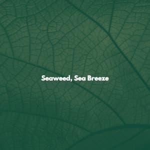 Seaweed, Sea Breeze - Coffee Break Bgm Heaven