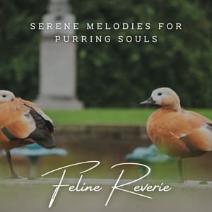 Feline Reverie: Meditative Piano for Cat Serenity - Deep Relax Piano