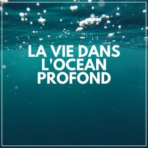 La Vie Dans L'océan Profond - Vagues Dans La Mer