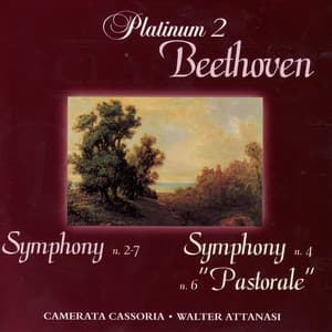 Beethoven: Symphonies n. 2 - 7 / Symphony n. 4 - 6 Pastorale - Camerata Cassovia