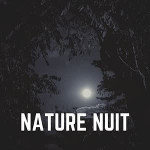 Nature Nuit - Sons de la nature